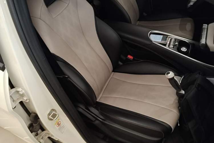 Used BYD Dolphin 2024 Honor Edition 420km Freedom Version Right Front Seat
