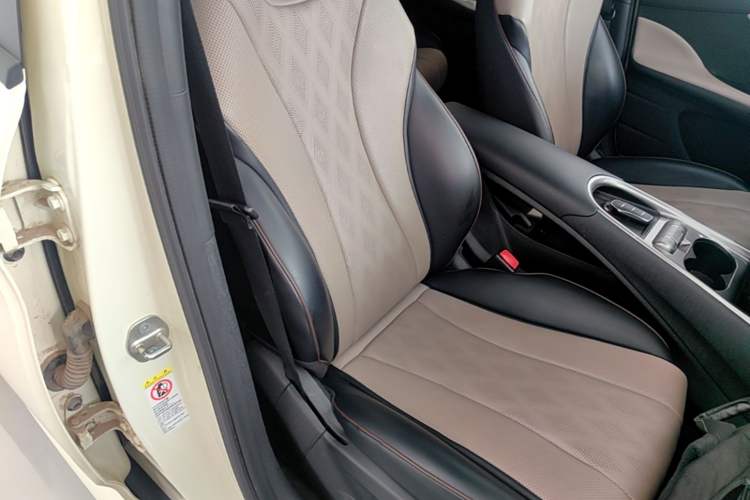 Used BYD Dolphin 2024 Honor Edition 420km Fashion Version Right Front Seat