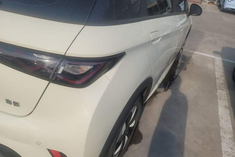 Used BYD Dolphin 2024 Honor Edition 420km Freedom Version Right Rear Taillight