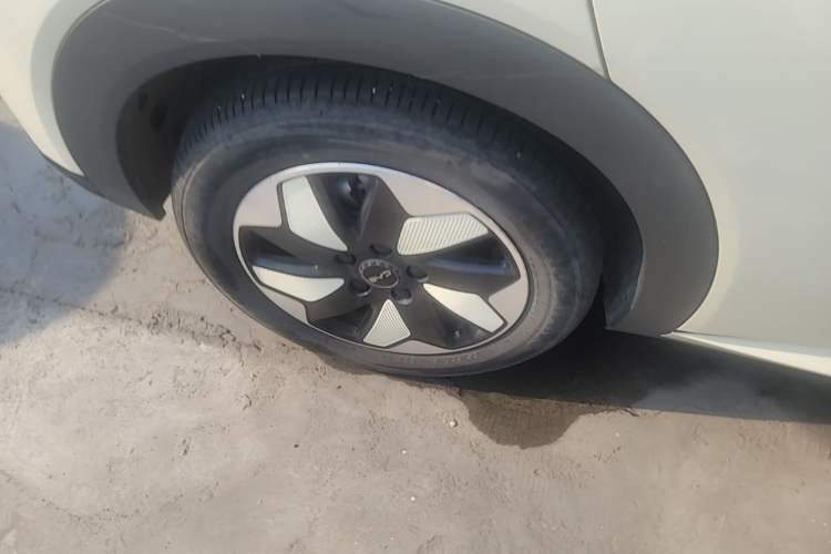 Used BYD Dolphin 2024 Honor Edition 420km Freedom Version Right Rear Wheel Hub