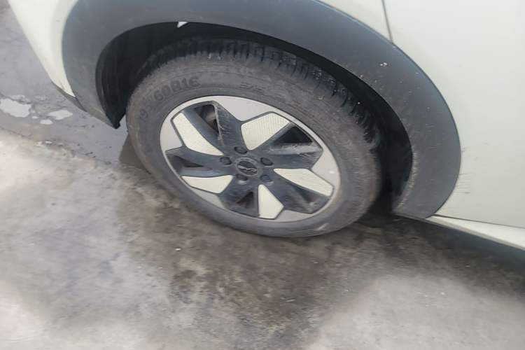 Used BYD Dolphin 2024 Honor Edition 420km Fashion Version Right Rear Wheel Hub