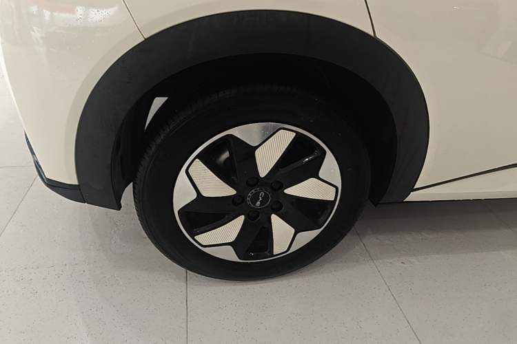 Used BYD Dolphin 2024 Honor Edition 420km Fashion Version Right Rear Wheel Hub