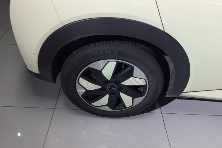 Used BYD Dolphin 2024 Honor Edition 420km Fashion Version Right Rear Wheel Hub
