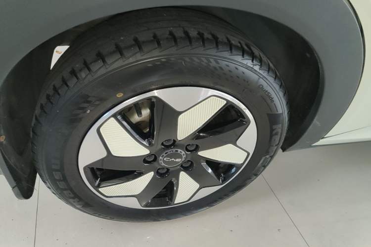 Used BYD Dolphin 2024 Honor Edition 420km Fashion Version Right Rear Wheel Hub