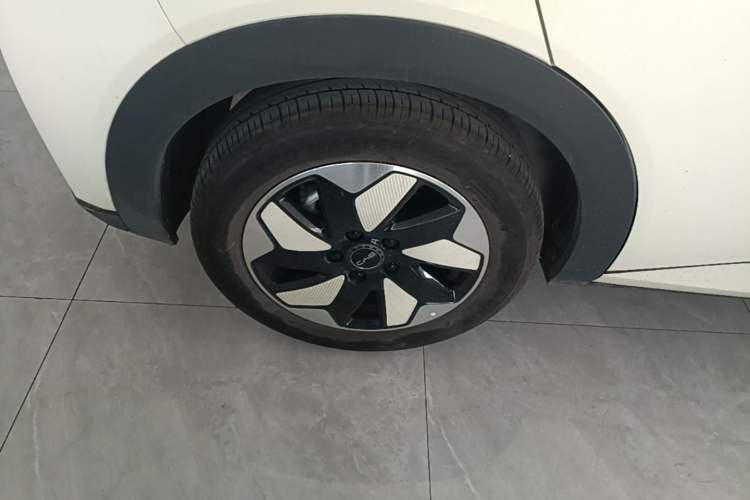 Used BYD Dolphin 2024 Honor Edition 420km Fashion Version Right Rear Wheel Hub