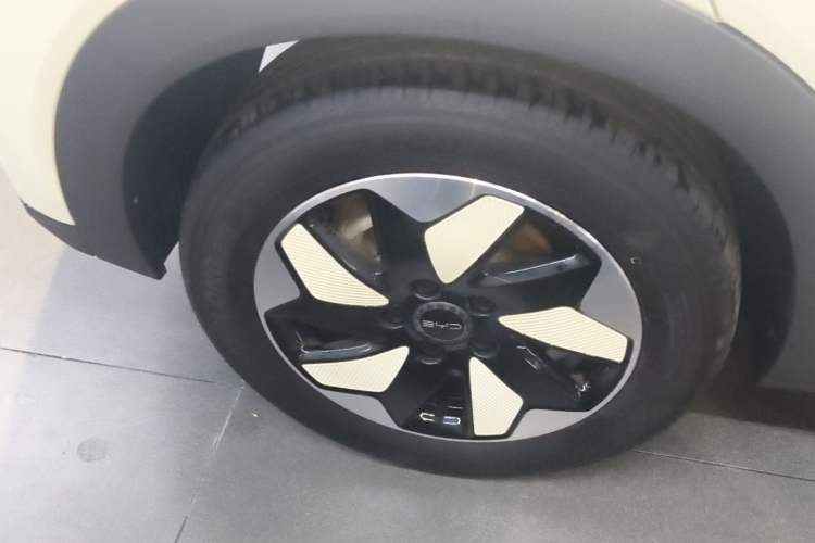Used BYD Dolphin 2024 Honor Edition 420km Freedom Version Right Rear Wheel Hub