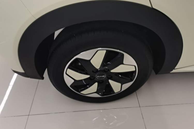 Used BYD Dolphin 2024 Honor Edition 420km Freedom Version Right Rear Wheel Hub