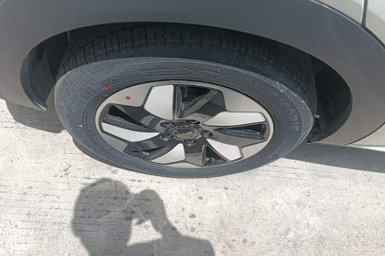 Used BYD Dolphin 2024 Honor Edition 420km Freedom Version Right Rear Wheel Hub