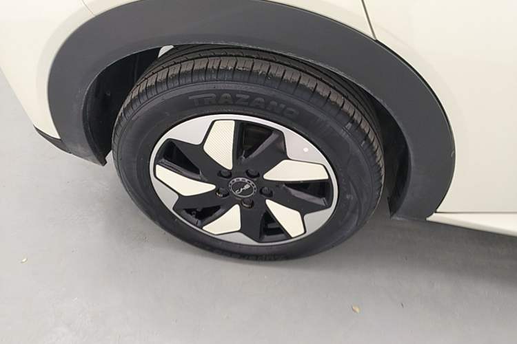 Used BYD Dolphin 2024 Honor Edition 420km Fashion Version Right Rear Wheel Hub