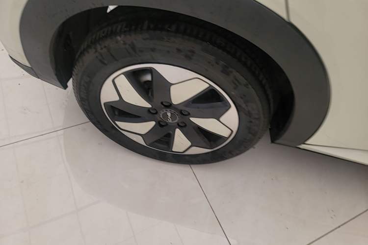Used BYD Dolphin 2024 Honor Edition 420km Freedom Version Right Rear Wheel Hub