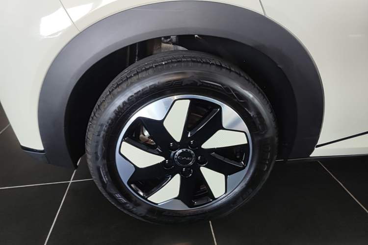 Used BYD Dolphin 2024 Honor Edition 420km Freedom Version Right Rear Wheel Hub