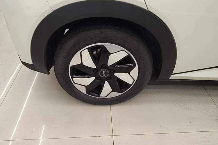 Used BYD Dolphin 2024 Honor Edition 420km Freedom Version Right Rear Wheel Hub