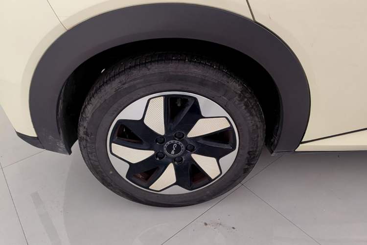 Used BYD Dolphin 2024 Honor Edition 420km Fashion Version Right Rear Wheel Hub
