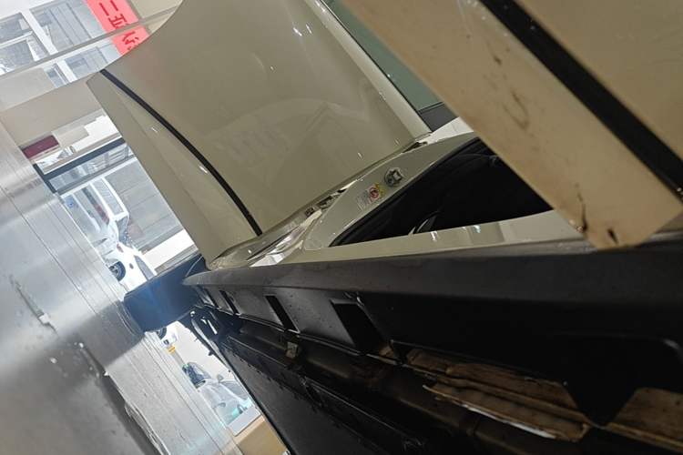 Used BYD Dolphin 2024 Honor Edition 420km Fashion Version Right Side Sill