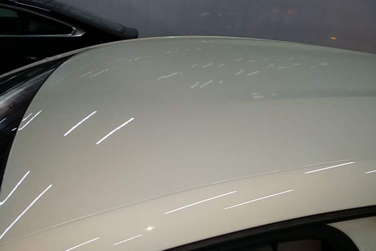 Used BYD Dolphin 2024 Honor Edition 420km Freedom Version Roof