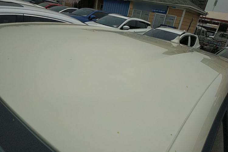 Used BYD Dolphin 2024 Honor Edition 420km Freedom Version Roof