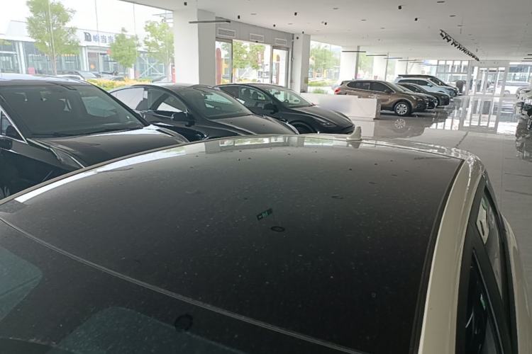Used BYD Dolphin 2024 Honor Edition 420km Fashion Version Roof