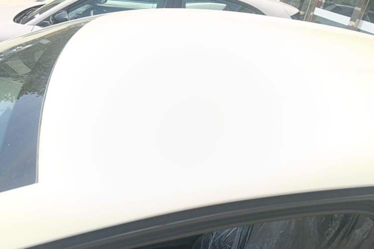 Used BYD Dolphin 2024 Honor Edition 420km Freedom Version Roof