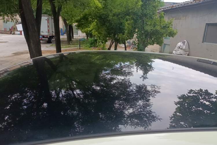 Used BYD Dolphin 2024 Honor Edition 420km Fashion Version Roof