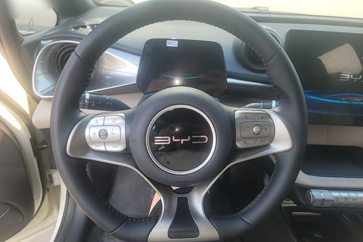 Used BYD Dolphin 2024 Honor Edition 420km Freedom Version Steering Wheel