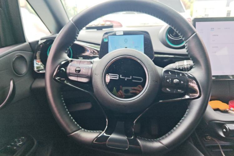 Used BYD Dolphin 2024 Honor Edition 420km Fashion Version Steering Wheel