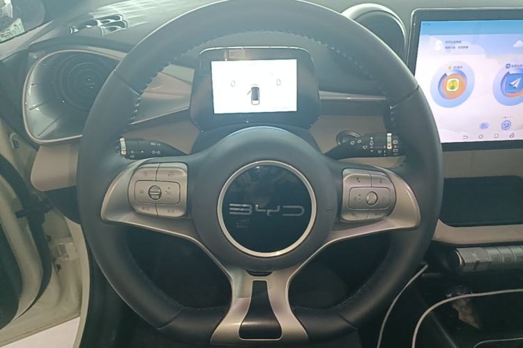 Used BYD Dolphin 2024 Honor Edition 420km Fashion Version Steering Wheel