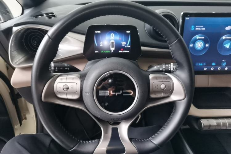 Used BYD Dolphin 2024 Honor Edition 420km Fashion Version Steering Wheel