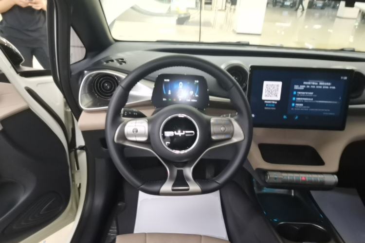 Used BYD Dolphin 2024 Honor Edition 420km Freedom Version Steering Wheel