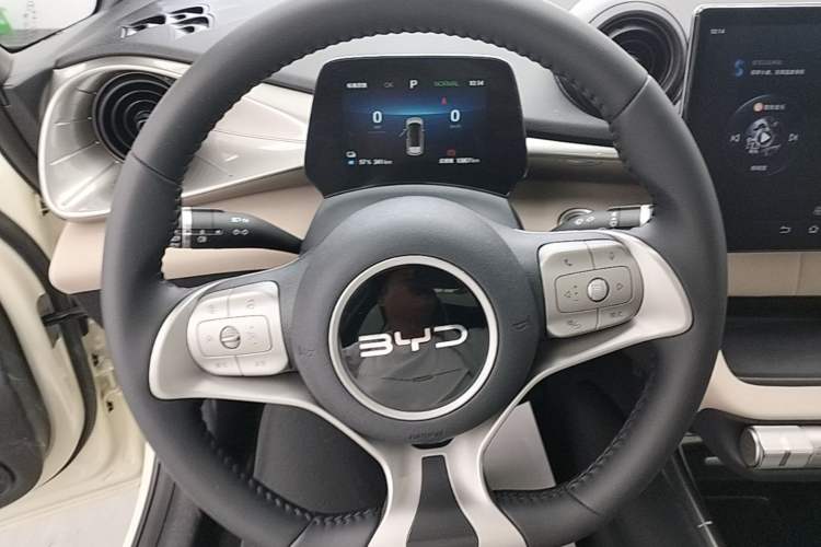 Used BYD Dolphin 2024 Honor Edition 420km Fashion Version Steering Wheel
