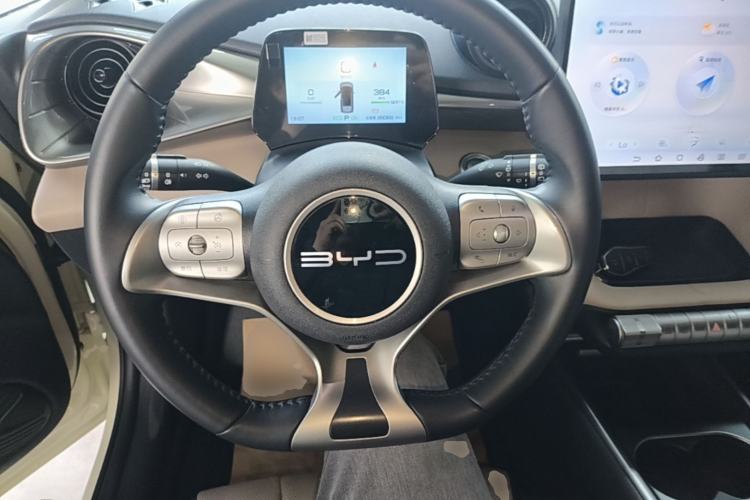 Used BYD Dolphin 2024 Honor Edition 420km Fashion Version Steering Wheel