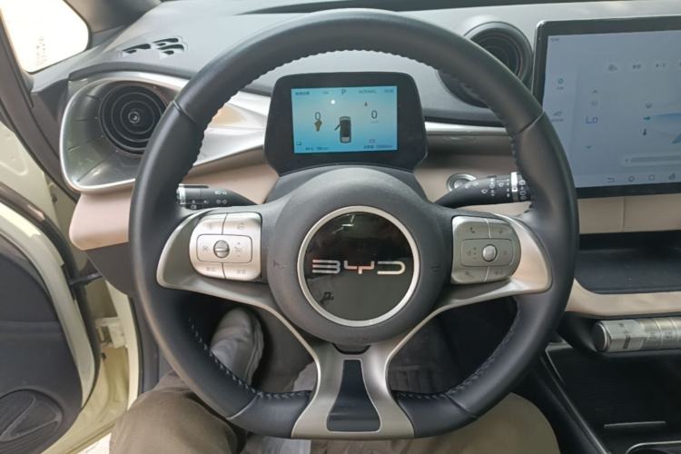 Used BYD Dolphin 2024 Honor Edition 420km Fashion Version Steering Wheel