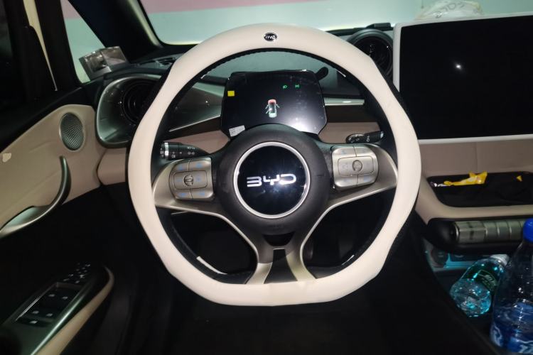 Used BYD Dolphin 2024 Honor Edition 420km Fashion Version Steering Wheel