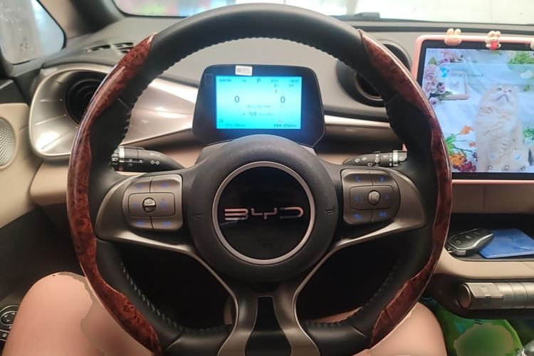 Used BYD Dolphin 2024 Honor Edition 420km Freedom Version Steering Wheel