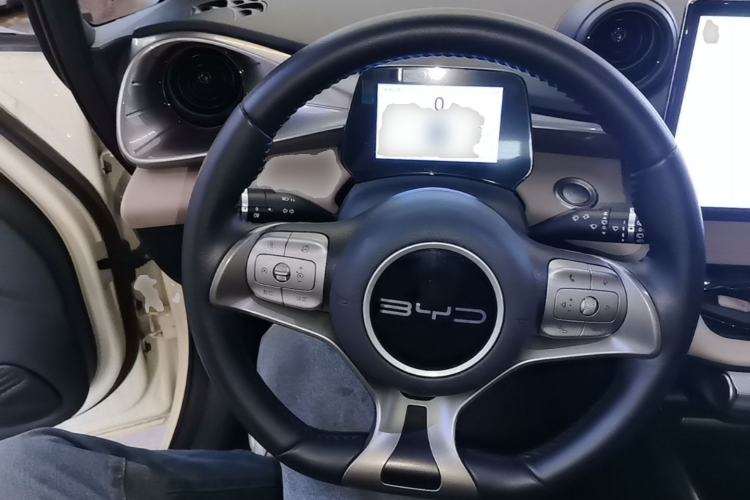 Used BYD Dolphin 2024 Honor Edition 420km Fashion Version Steering Wheel