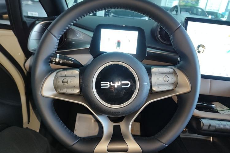 Used BYD Dolphin 2024 Honor Edition 420km Freedom Version Steering Wheel