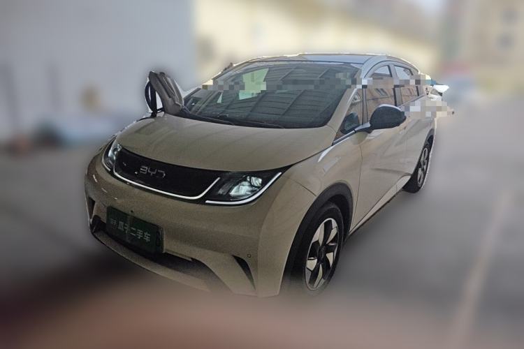 BYD Dolphin 2024 Honor Edition 420km Fashion Version