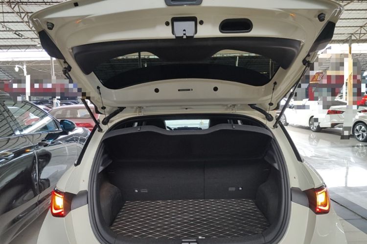 Used BYD Dolphin 2024 Honor Edition 420km Fashion Version Trunk