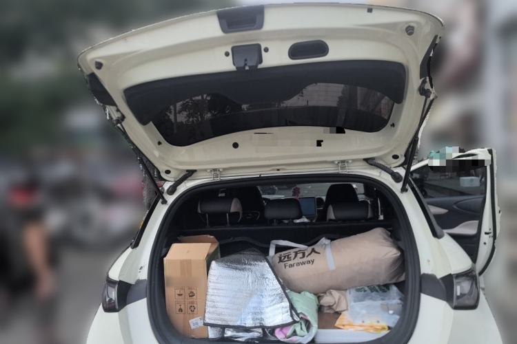 Used BYD Dolphin 2024 Honor Edition 420km Fashion Version Trunk