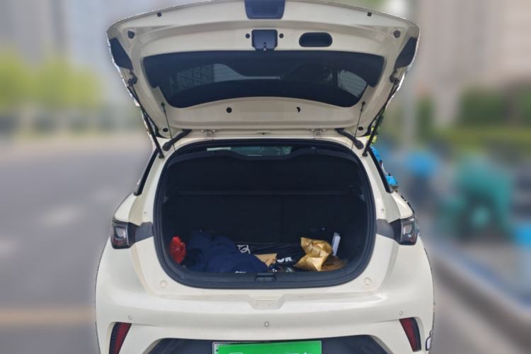 Used BYD Dolphin 2024 Honor Edition 420km Fashion Version Trunk
