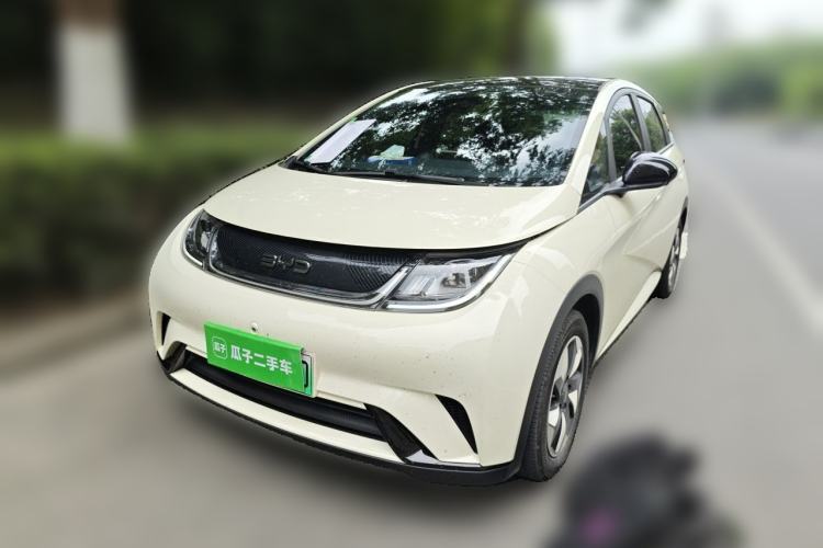 Used BYD Dolphin 2024 Honor Edition 420km Fashion Version Guazi used car, China used car export, Used car for sale, Used  cars, Cheapest cars for sale