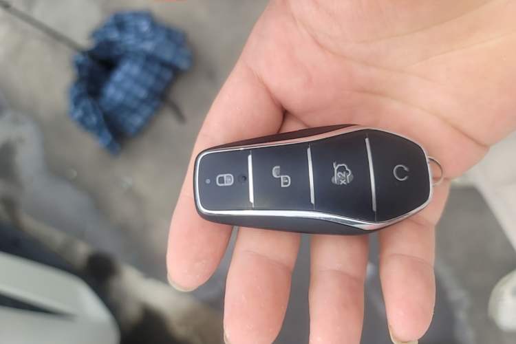 Used BYD Dolphin 2024 Honor Edition 420km Fashion Version Vehicle Key