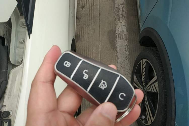 Used BYD Dolphin 2024 Honor Edition 420km Freedom Version Vehicle Key