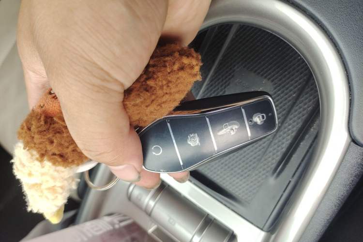 Used BYD Dolphin 2024 Honor Edition 420km Fashion Version Vehicle Key