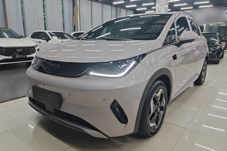 BYD Dolphin 2025 Smart Drive Version 420 km Freedom Edition