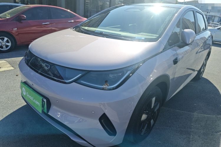 BYD Dolphin 2025 Intelligent Driving Version 410 km Fashion Edition