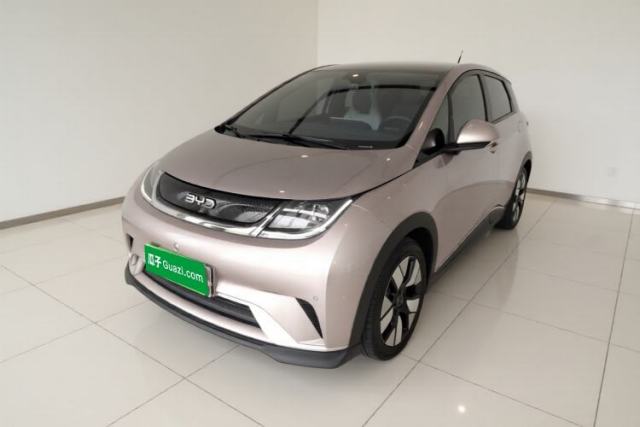 BYD Dolphin 2025 520km Range Knight Edition usata