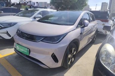 Used BYD Dolphin 2025 Intelligent Driving Version 410 km Fashion Edition