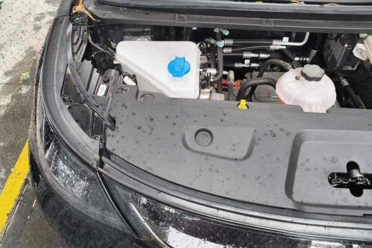 Used BYD Dolphin 2025 Smart Drive Version 420 km Freedom Edition Engine Bay Right
