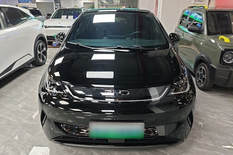 Used BYD Dolphin 2025 Intelligent Driving Version 520km Range Knight Edition Front