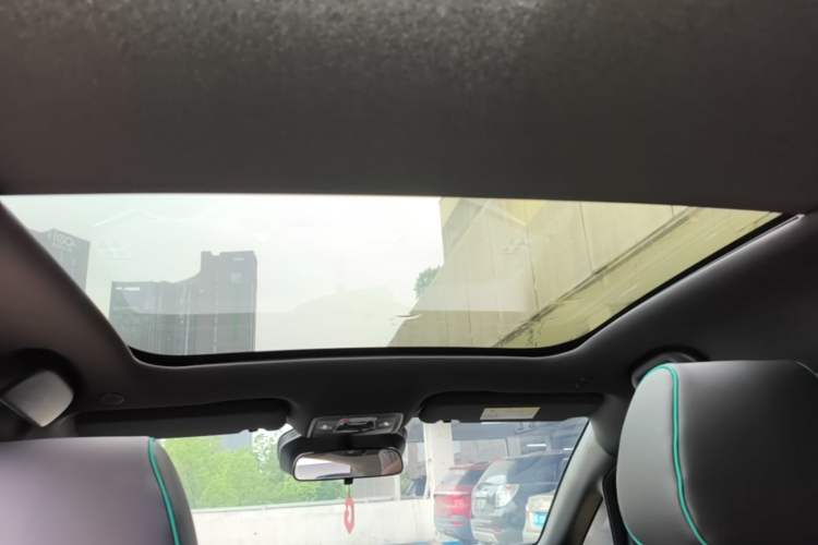 Used BYD Dolphin 2025 Intelligent Driving Version 520km Range Knight Edition Headliner